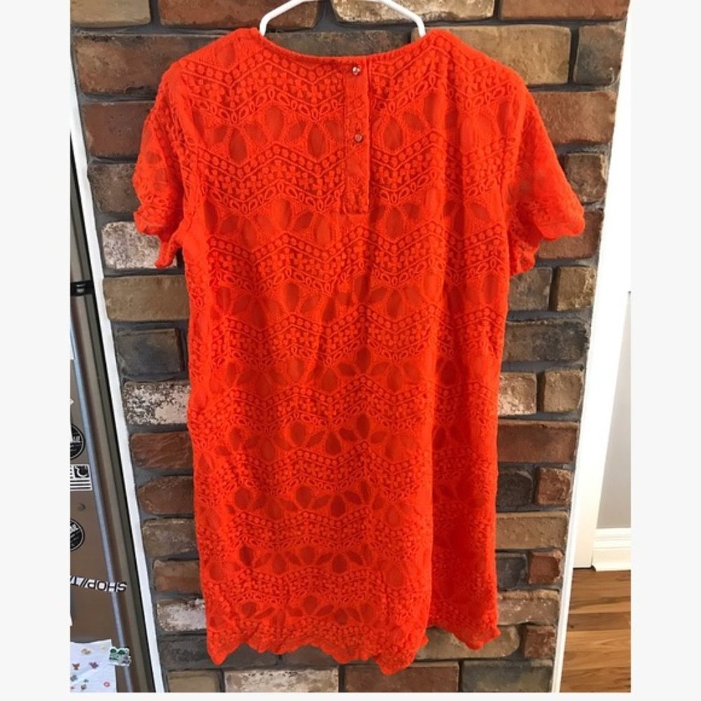Zara Basic Collection Orange Lace Lined Dress - image 2